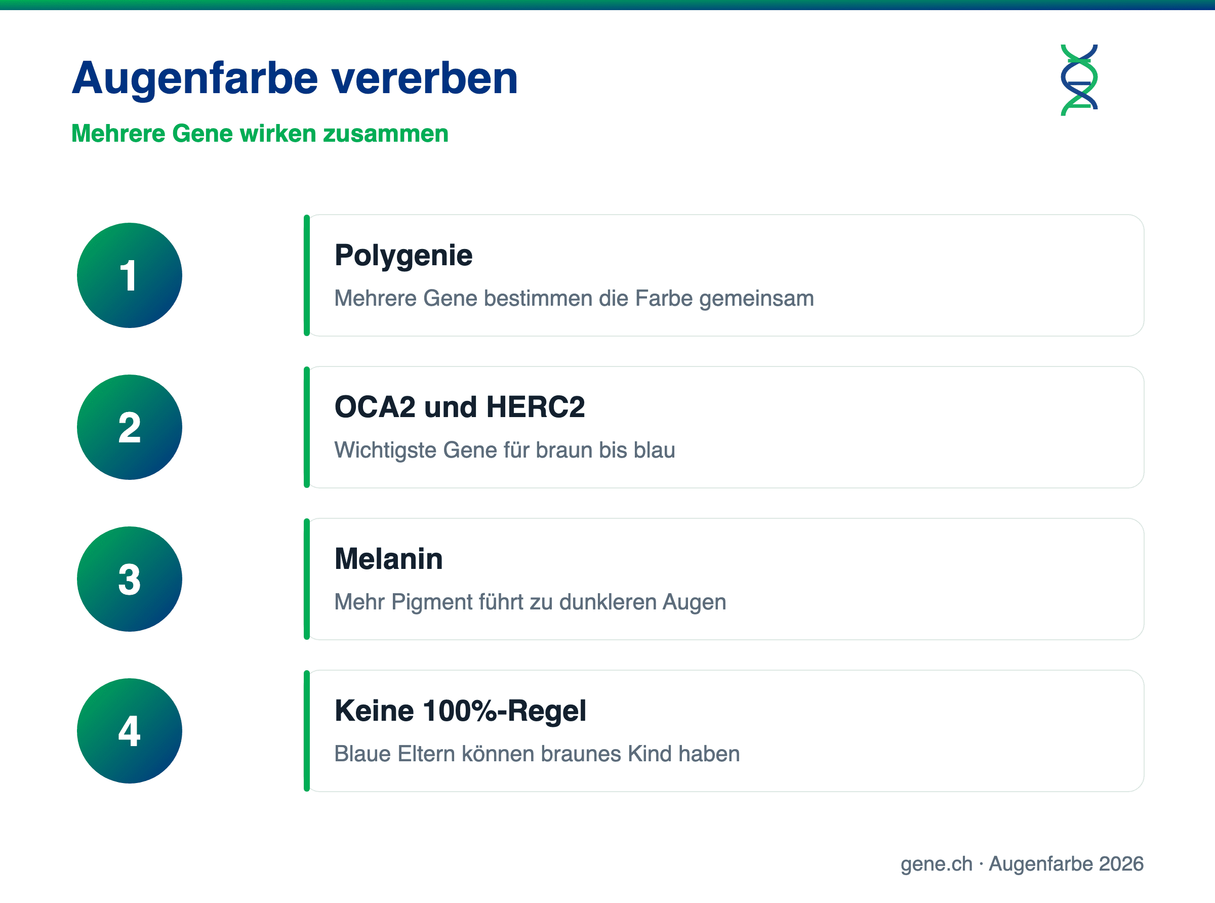 Infografik: Wie die Augenfarbe vererbt wird