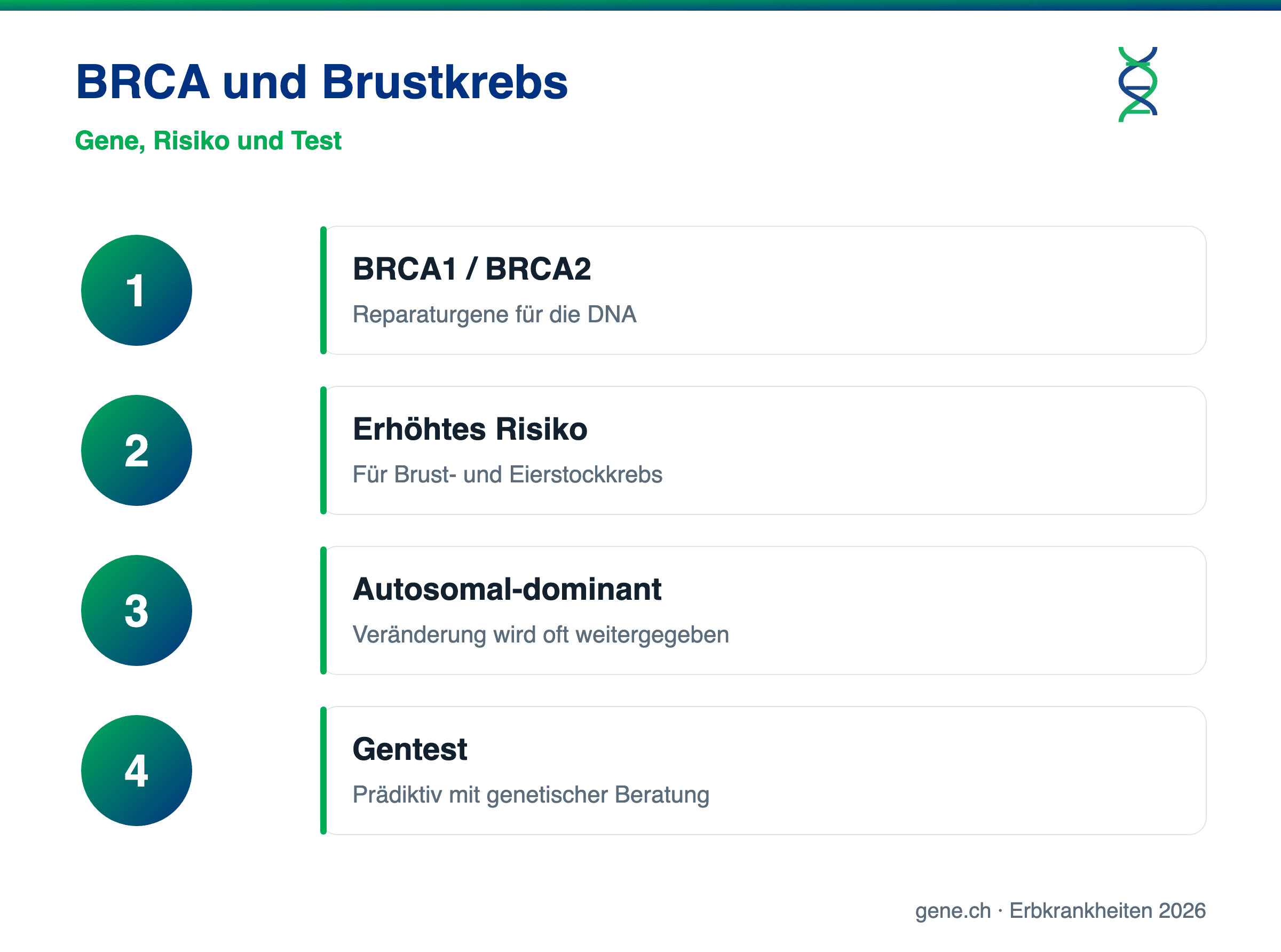 Infografik: BRCA1, BRCA2, erhöhtes Krebsrisiko und Gentest