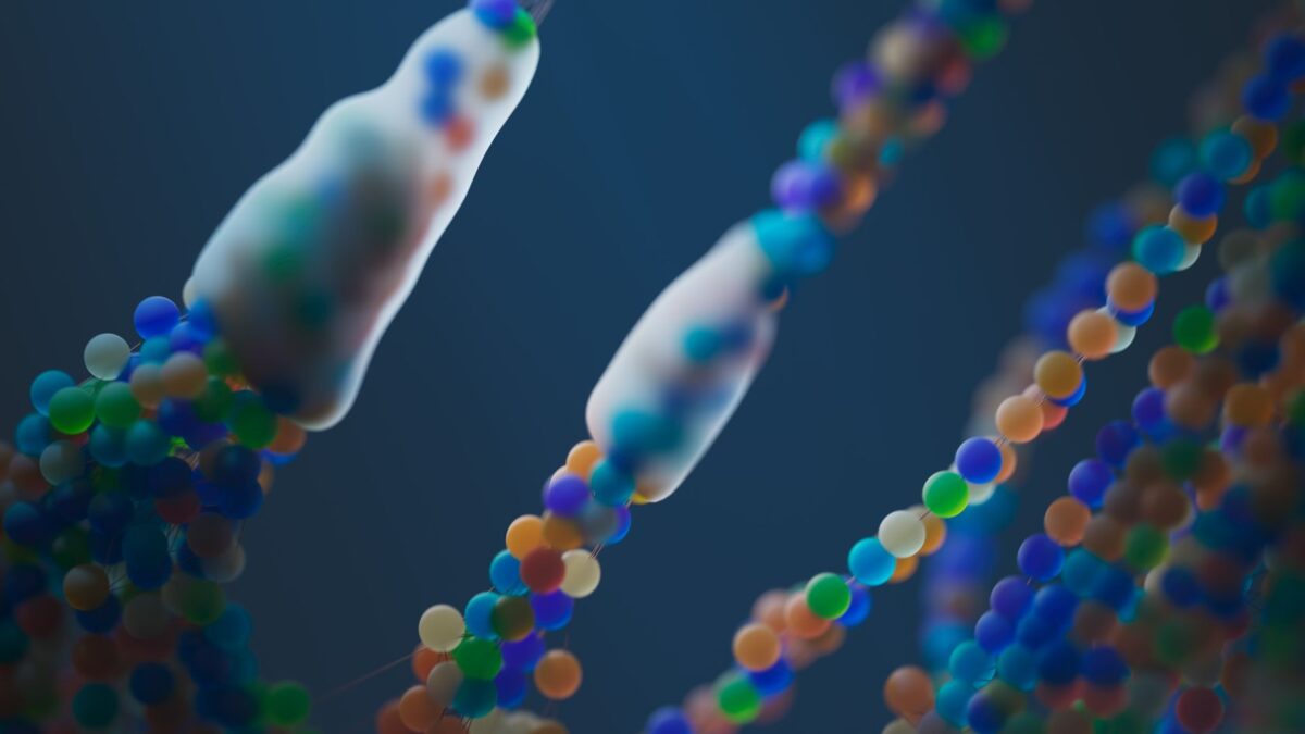 Mikroskopische Darstellung menschlicher Chromosomen