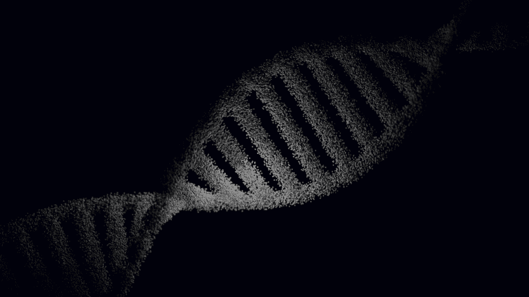 DNA-Doppelhelix – Aufbau und Vererbung