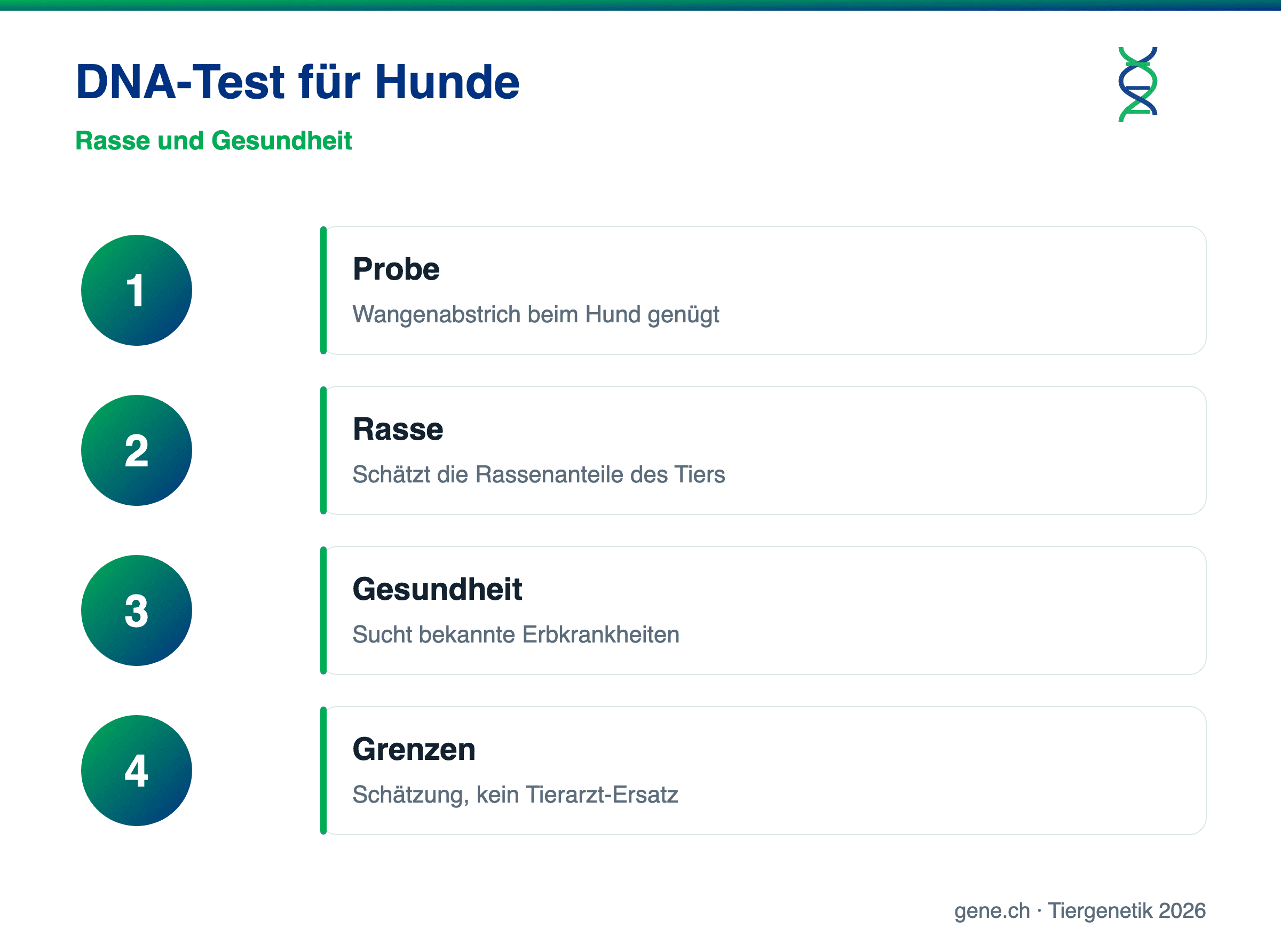 Infografik: DNA-Test für Hunde