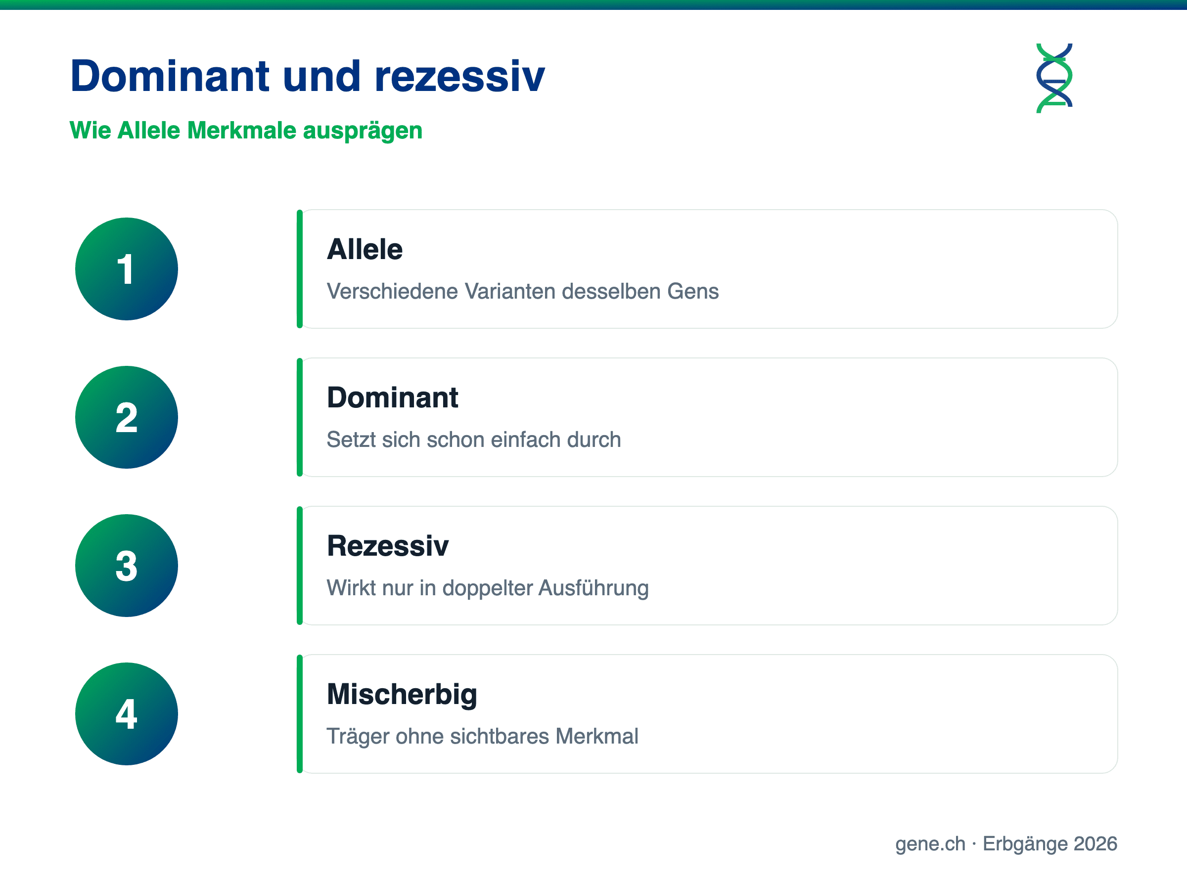 Infografik: Unterschied zwischen dominant und rezessiv
