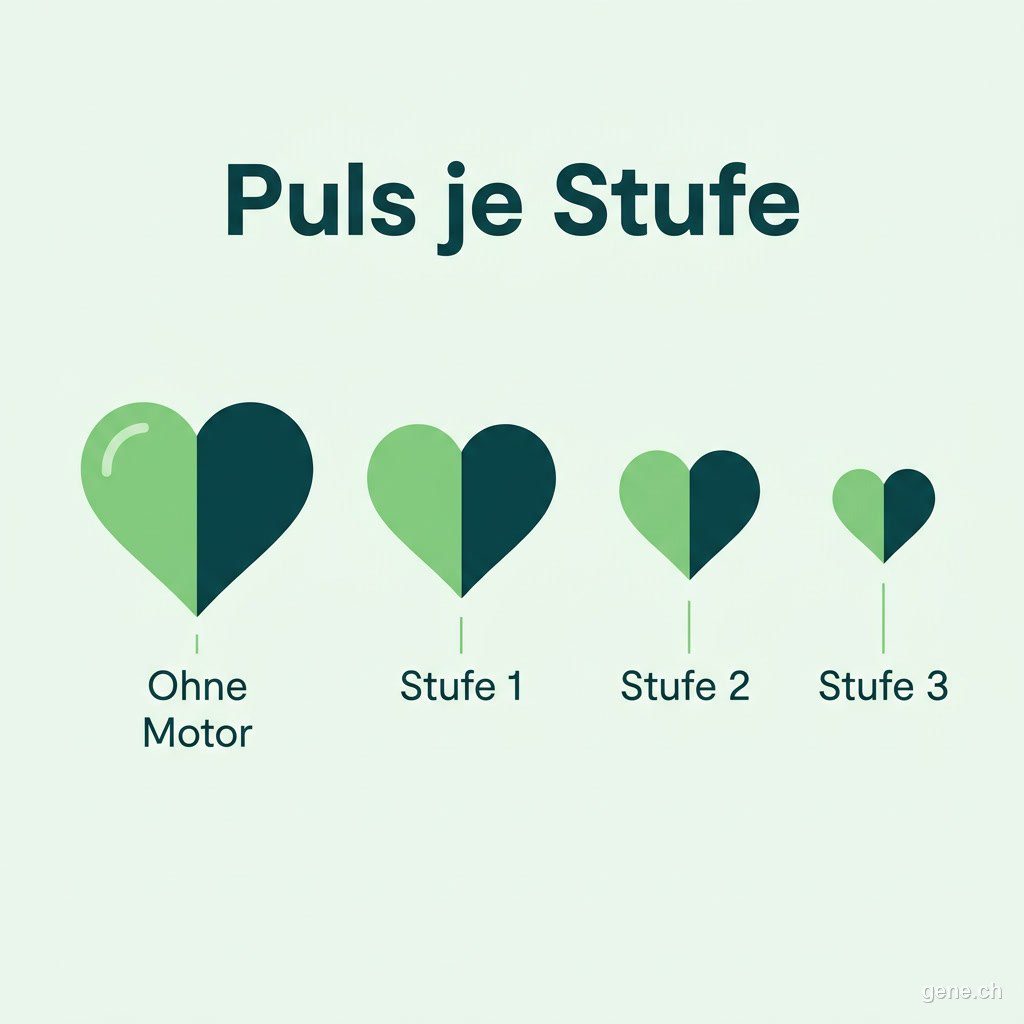 Infografik: Durchschnittspuls je Unterstützungsstufe im Vergleich