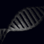 Erbkrankheiten – Vererbung und genetische Diagnostik im Überblick