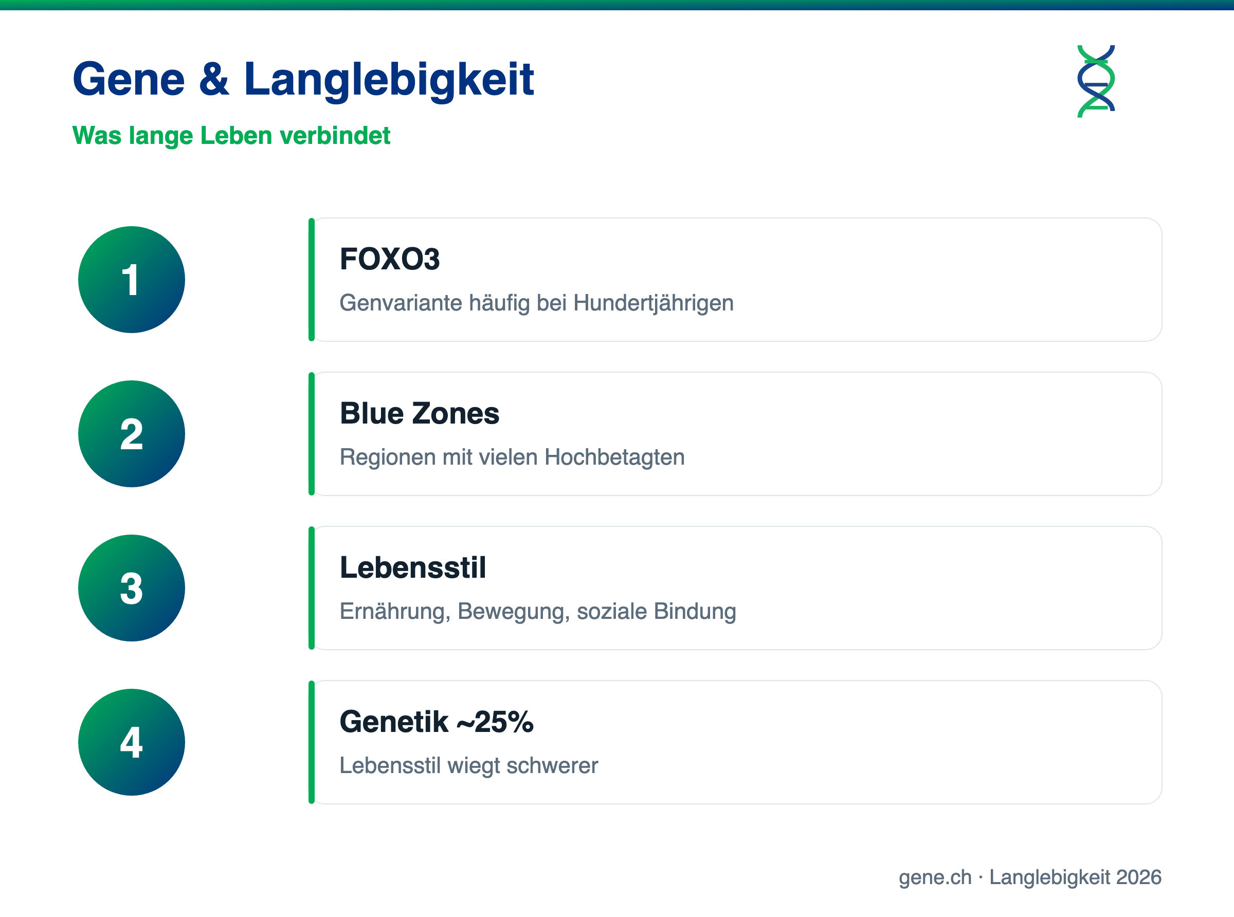 Infografik: FOXO3, Blue Zones und Lebensstil als Faktoren der Langlebigkeit