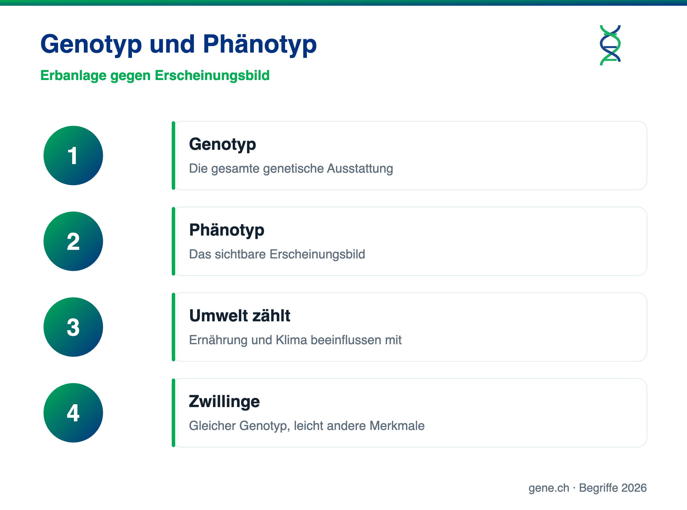 Infografik: Unterschied zwischen Genotyp und Phänotyp