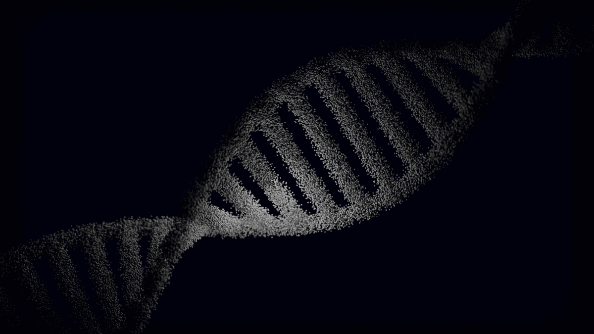Schematische Darstellung paariger Chromosomen