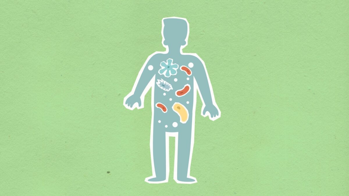 Mikrobiom und Gene – das zweite Genom im Darm