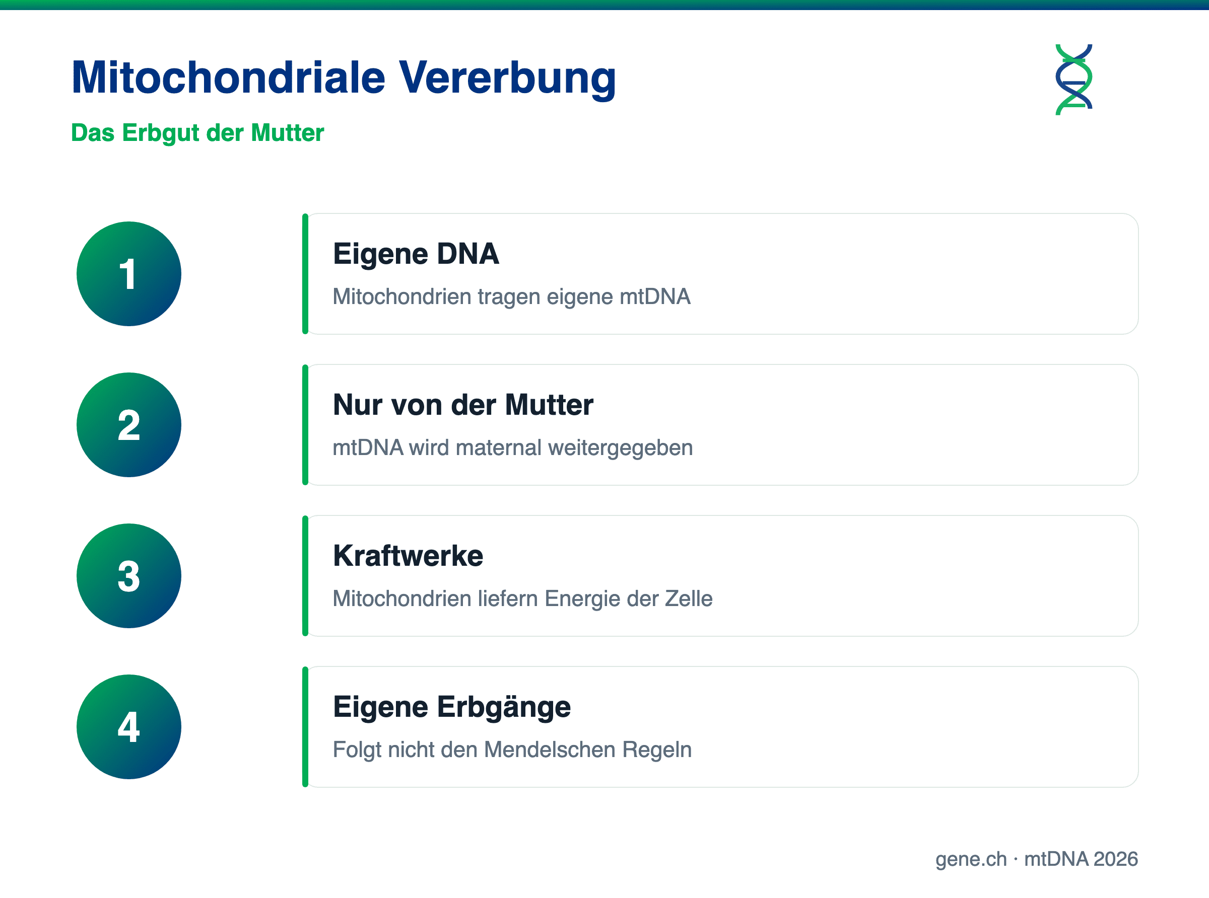 Infografik: Mitochondriale Vererbung über die Mutter