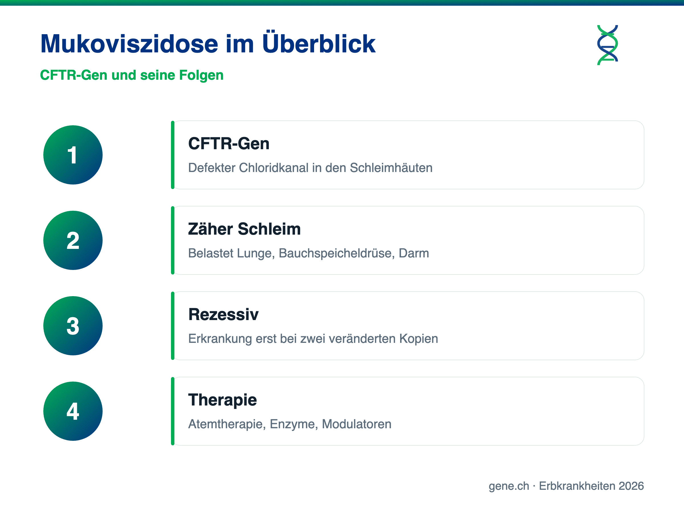 Infografik: CFTR-Gen, zäher Schleim und Therapie bei Mukoviszidose