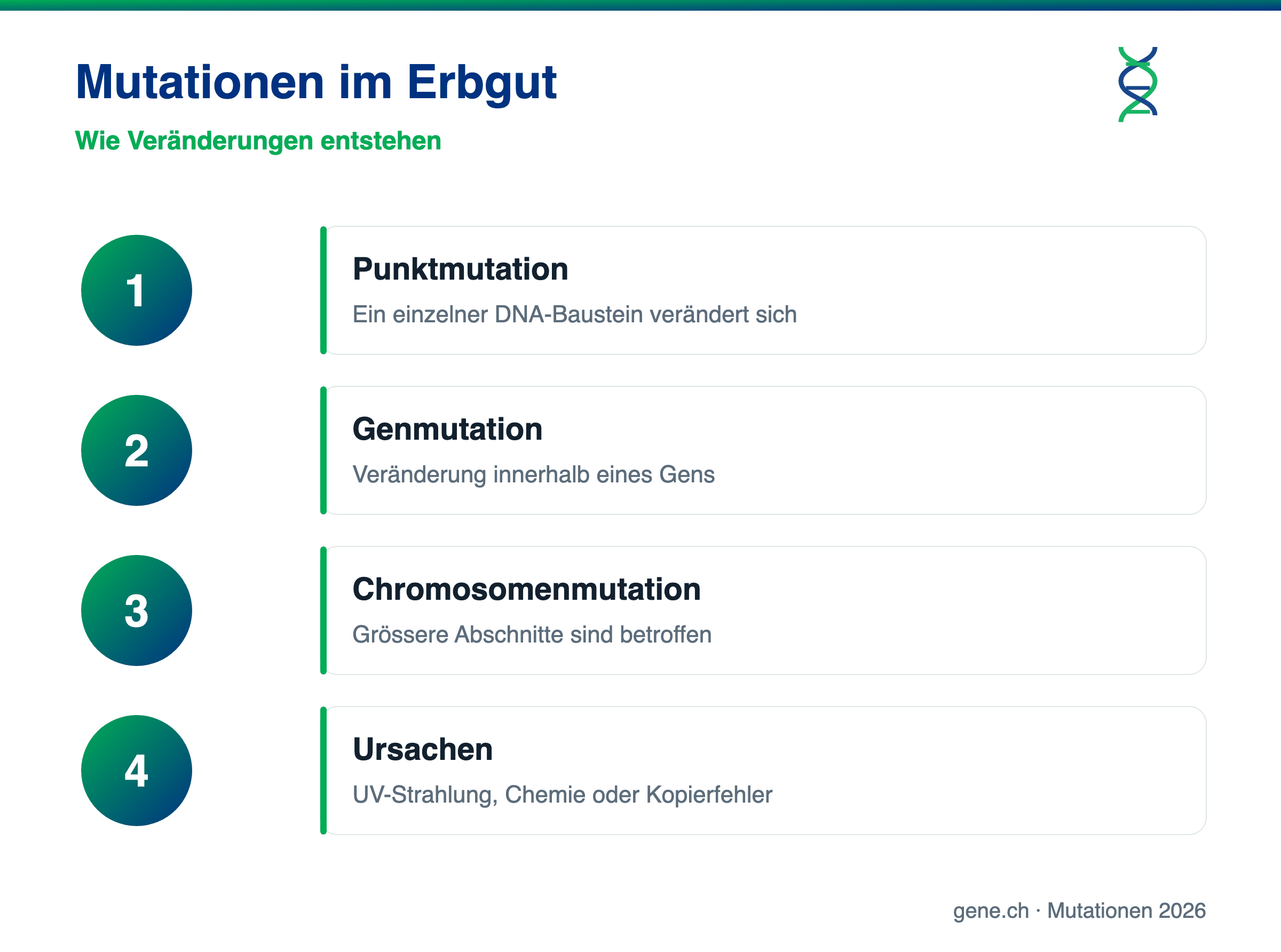 Infografik: Arten und Ursachen von Mutationen