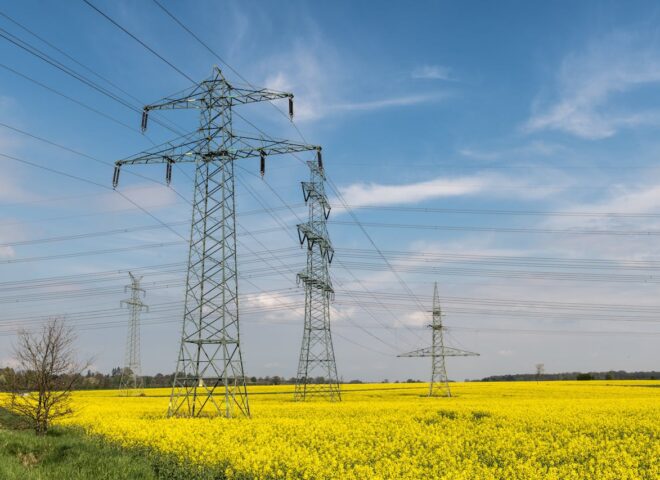 pexels wolfgang weiser 467045605 35836564