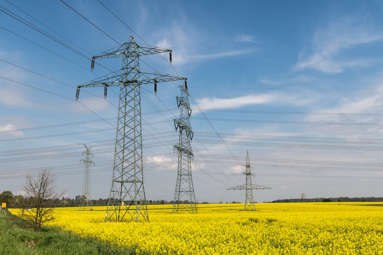 pexels wolfgang weiser 467045605 35836564