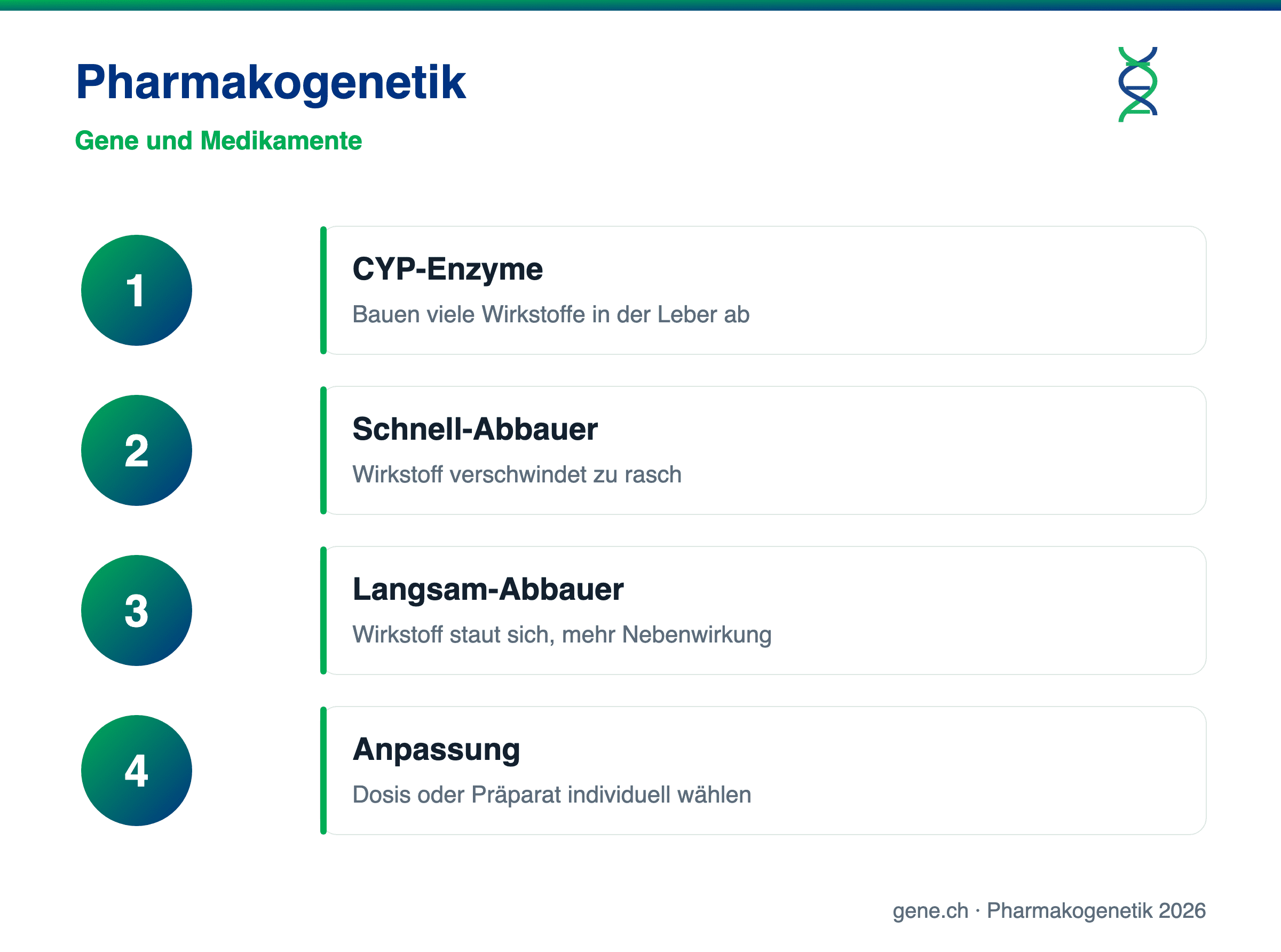 Infografik: Pharmakogenetik und CYP-Enzyme