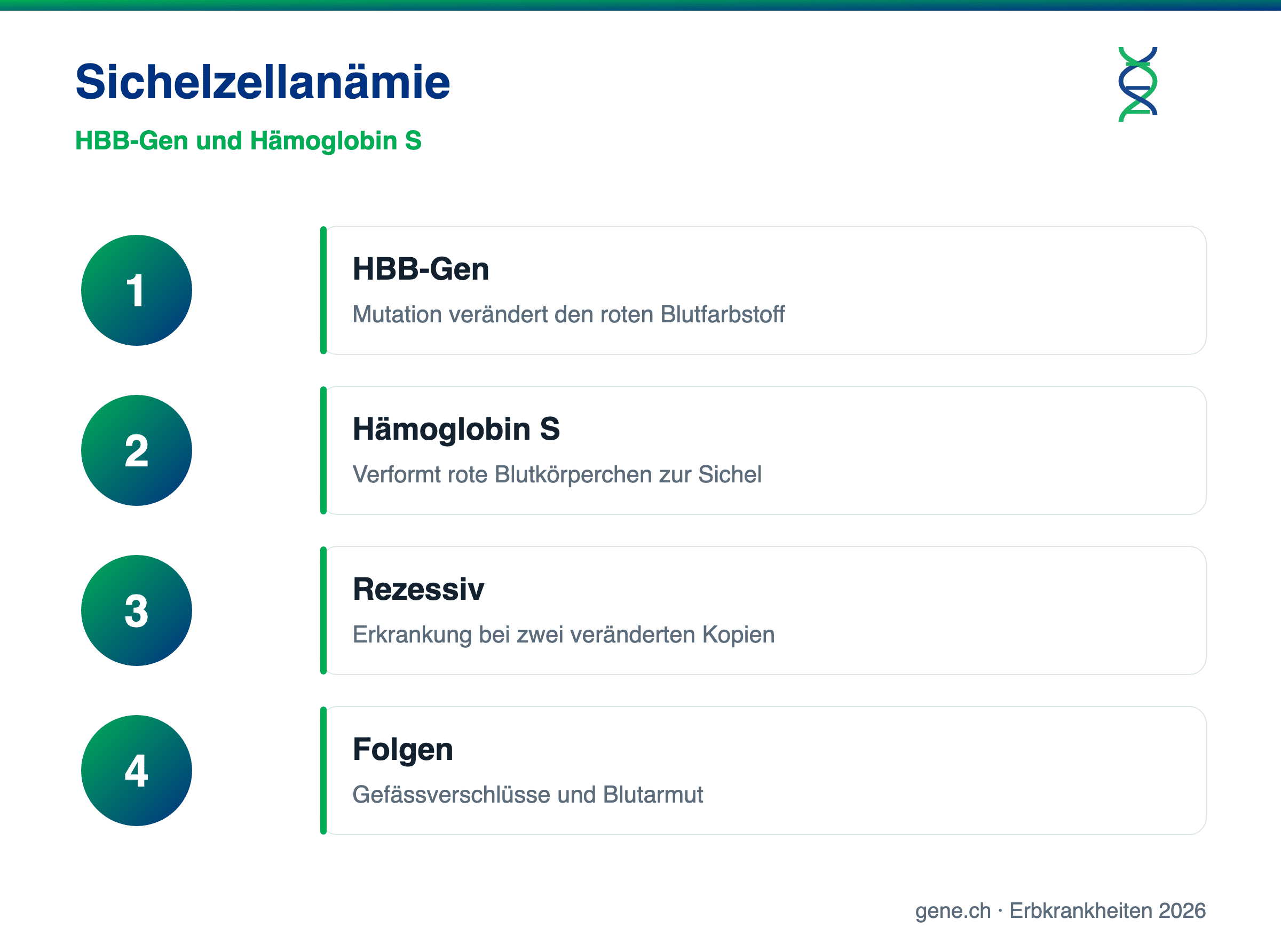 Infografik: HBB-Gen, Hämoglobin S und sichelförmige rote Blutkörperchen
