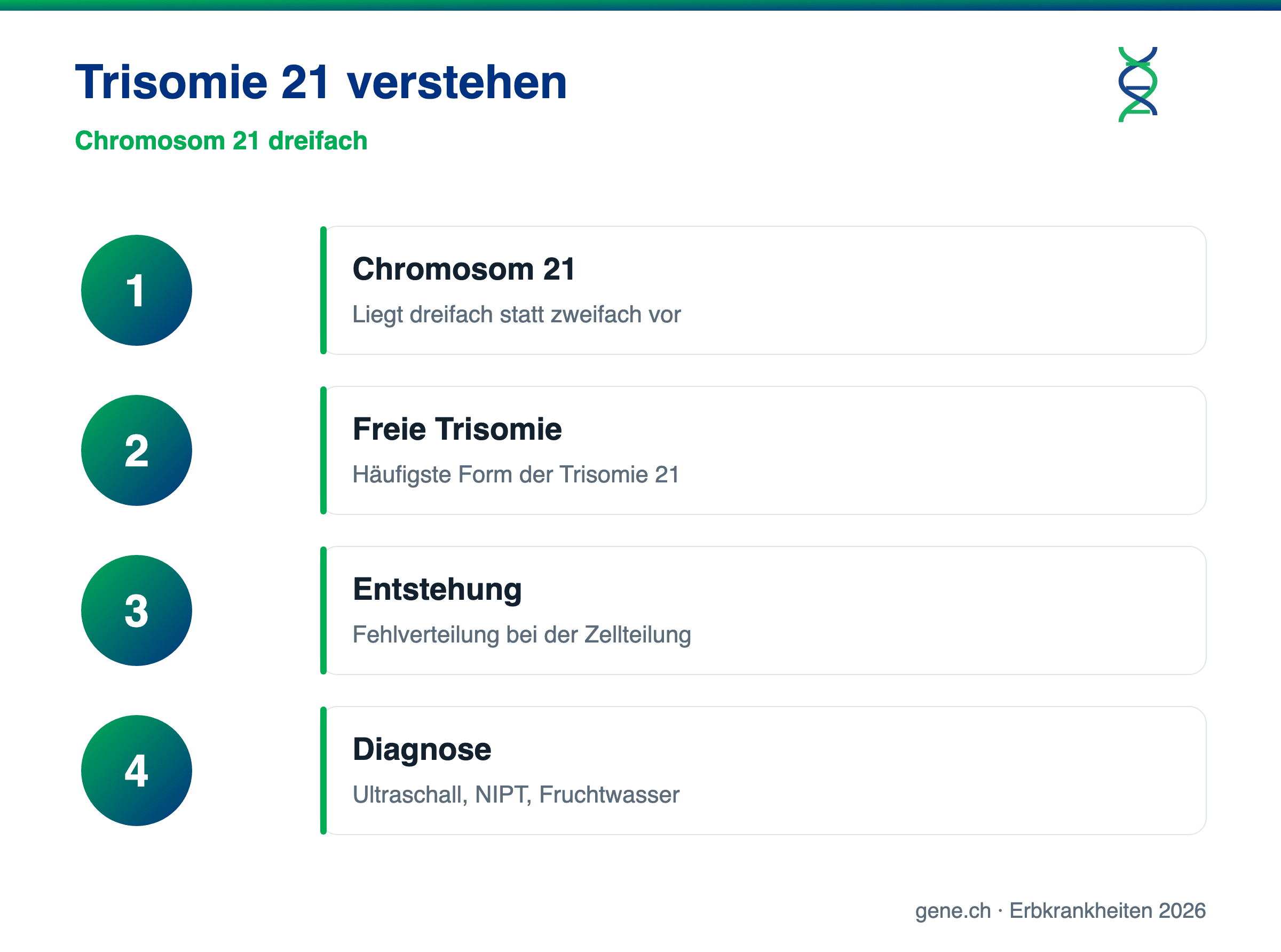 Infografik: Chromosom 21 dreifach, freie Trisomie und Diagnose